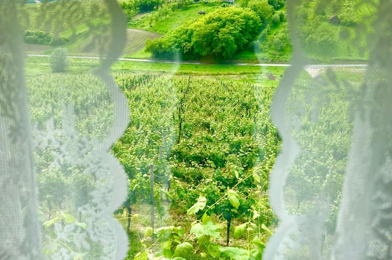 Wine Paradise Sveti Ivan Zelina Екстер'єр фото