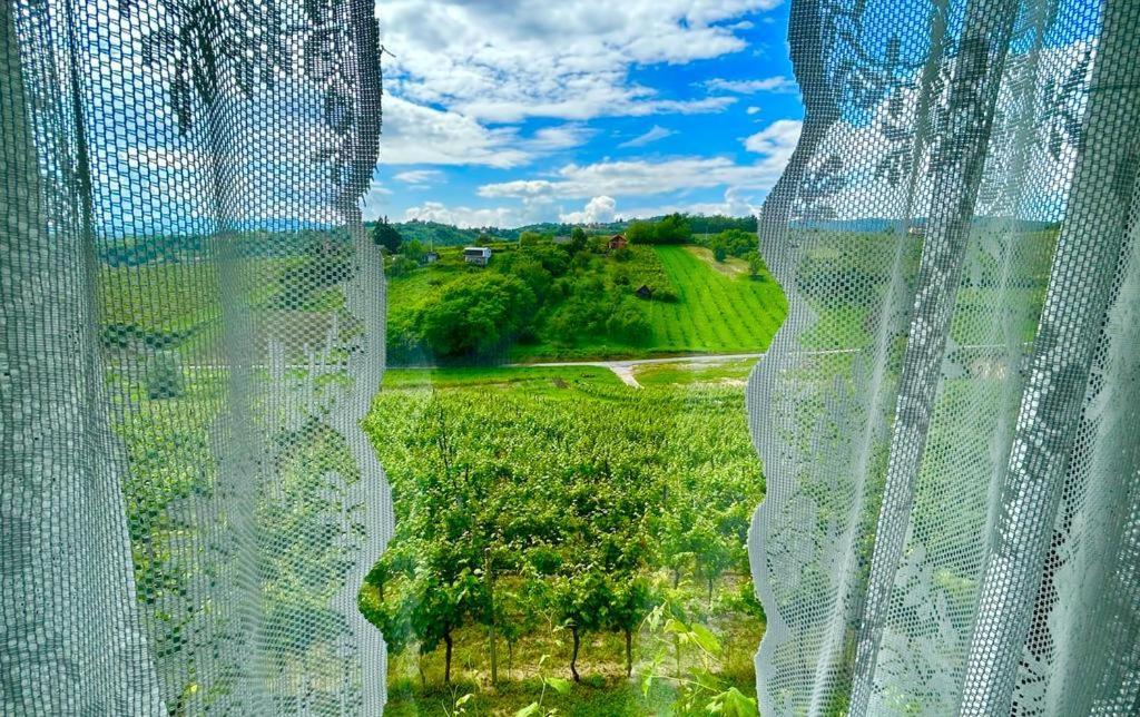 Wine Paradise Sveti Ivan Zelina Екстер'єр фото
