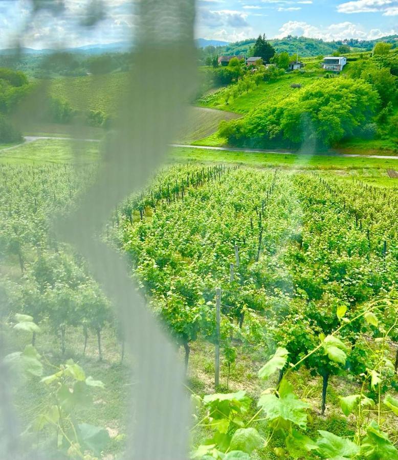 Wine Paradise Sveti Ivan Zelina Екстер'єр фото