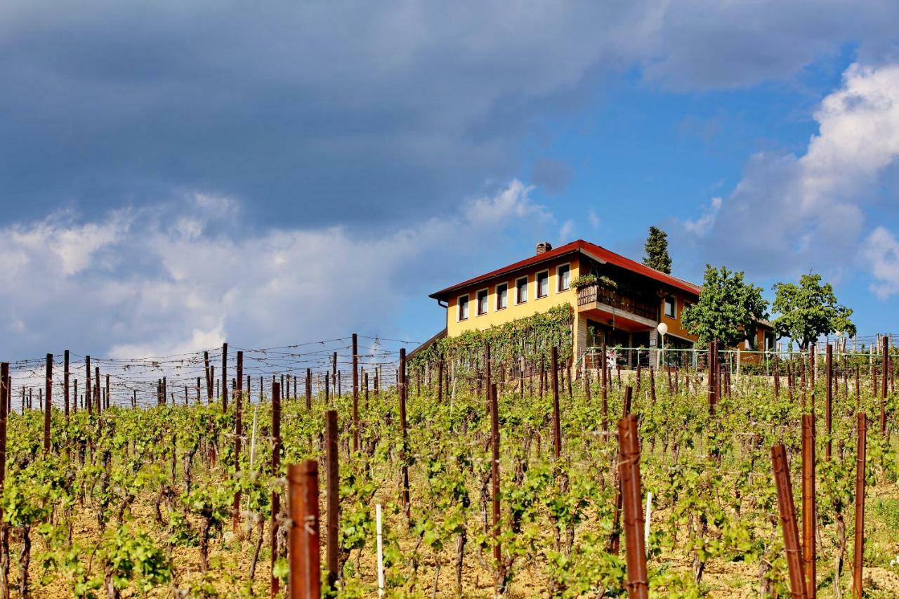 Wine Paradise Sveti Ivan Zelina Екстер'єр фото