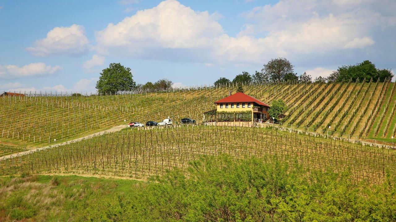 Wine Paradise Sveti Ivan Zelina Екстер'єр фото